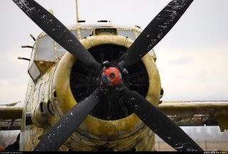 Bulgarian Air Force - An-2