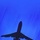 Visit the group Aviation jobs world wide  