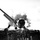Visit the group World War 2