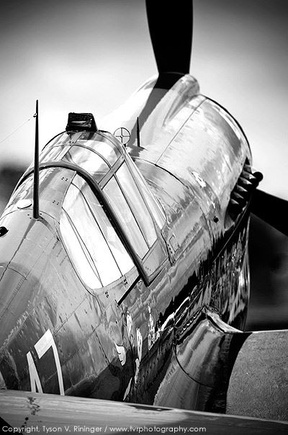 P-40 Warhawk